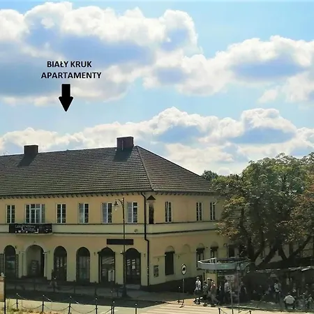 Bialy Kruk Vis-a-vis Jasnej Gory 5b Appartement Częstochowa