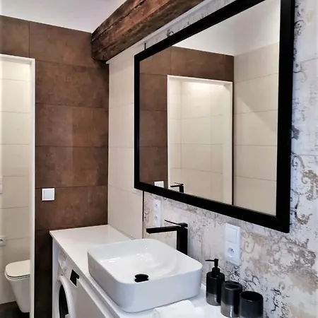 Bialy Kruk Vis-a-vis Jasnej Gory 5b Apartment Czestochowa
