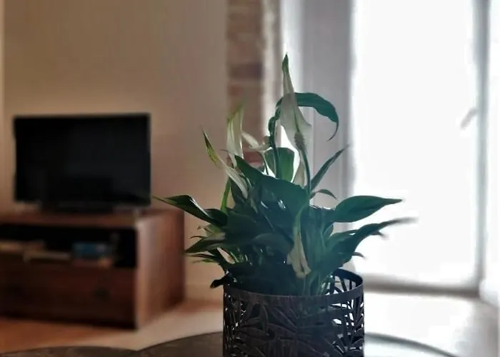 Appartement Bialy Kruk Vis-a-vis Jasnej Gory 5b *